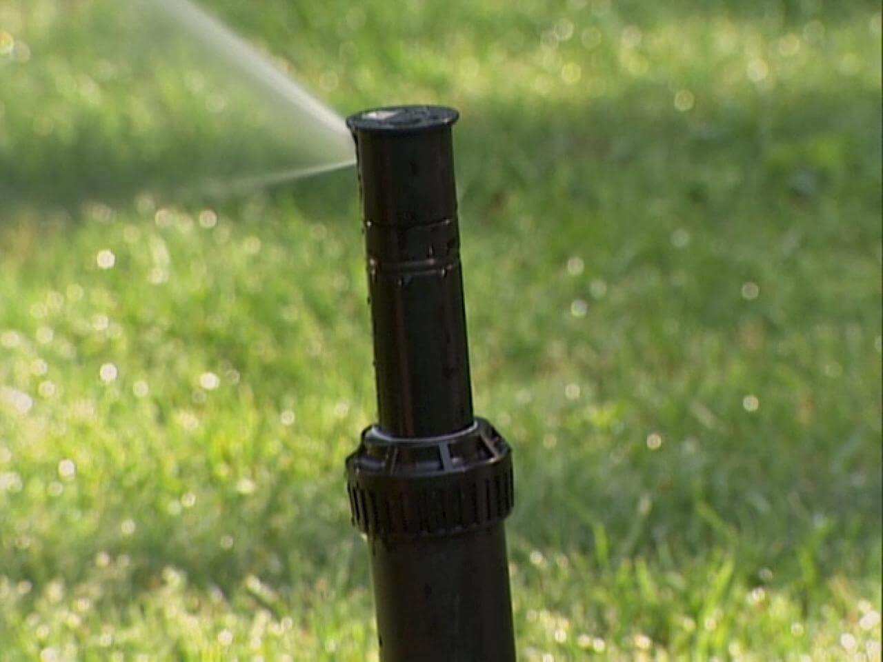 sprinkler head